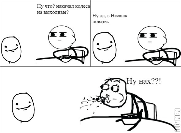 Зимняя покатушка к резиденции Радзивиллов (Снов-Несвиж-Городея) 3802420 - Зимняя покатушка к резиденции Радзивиллов (Снов-Несвиж-Городея)